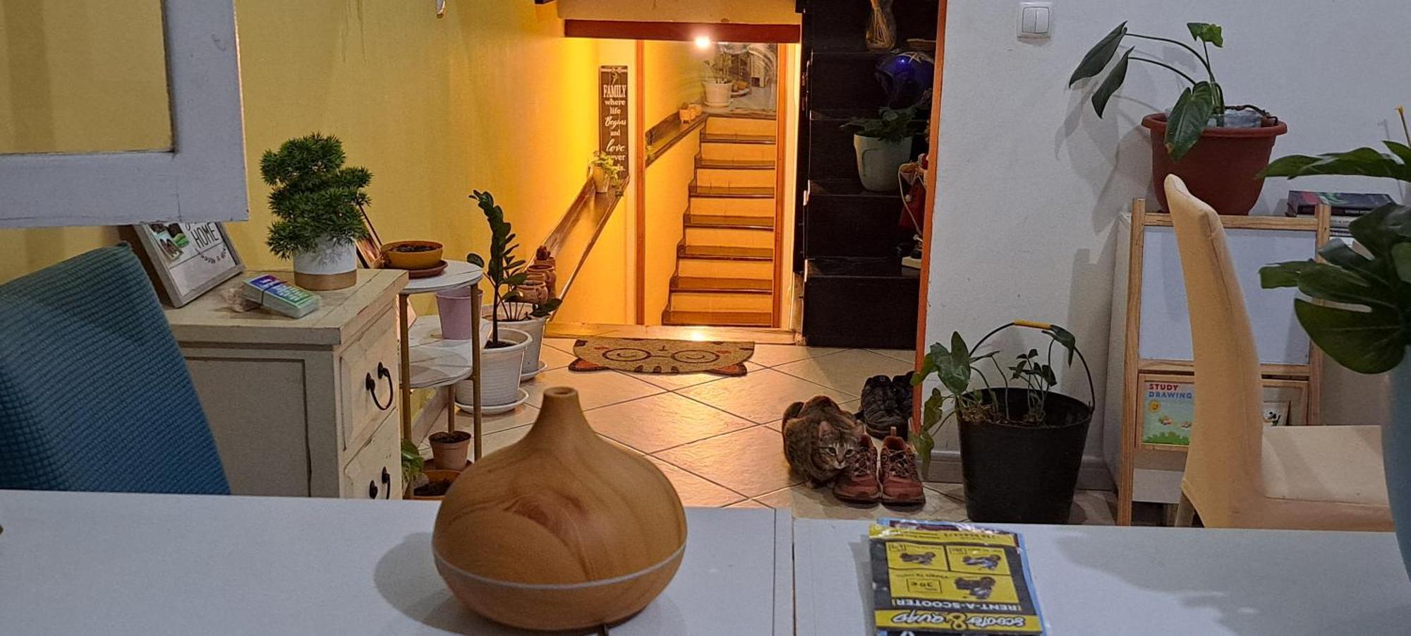 Mendes Family Homestay - B&B In The Heart Of Praia Kültér fotó